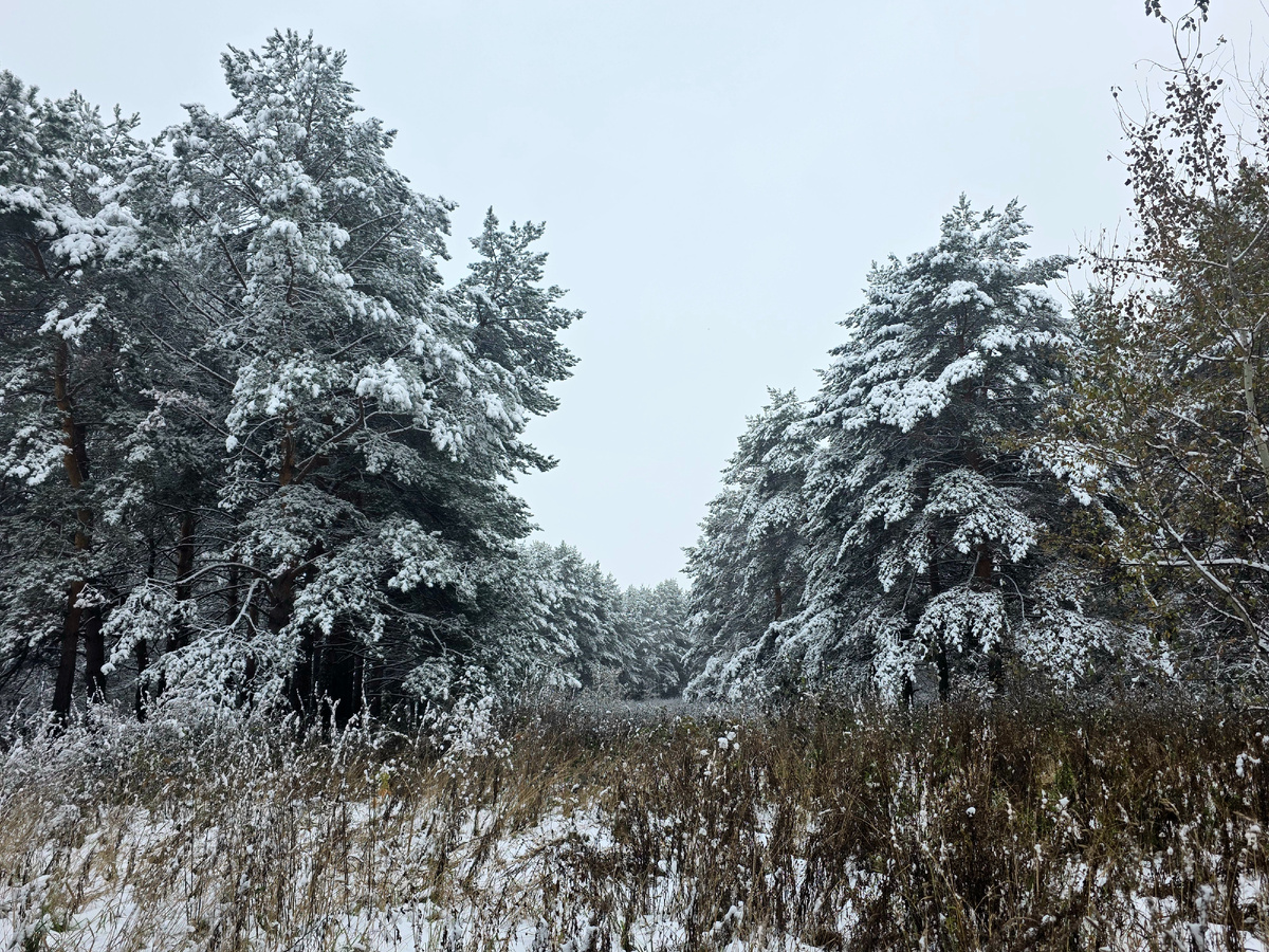 Октябрь, что ты делаешь?)