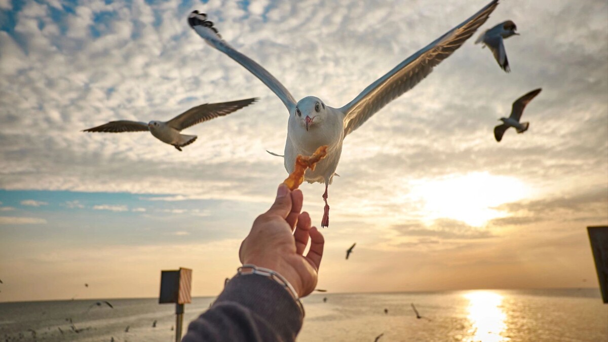    Фото: GenViewFinder/Shutterstock/Fotodom