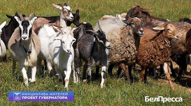 Фото: Елена Журавлёва