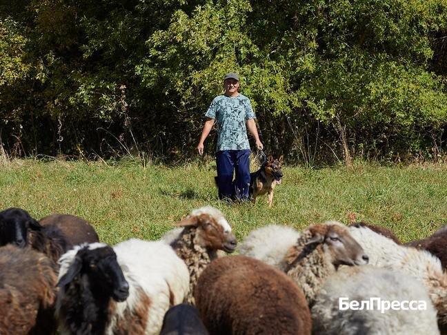 Фото: Елена Журавлёва