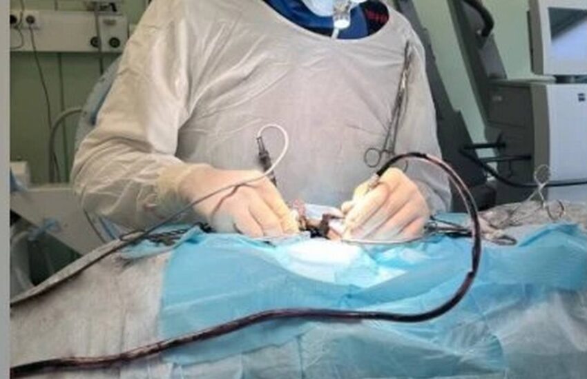    Министерство здравоохранения Воронежской области.