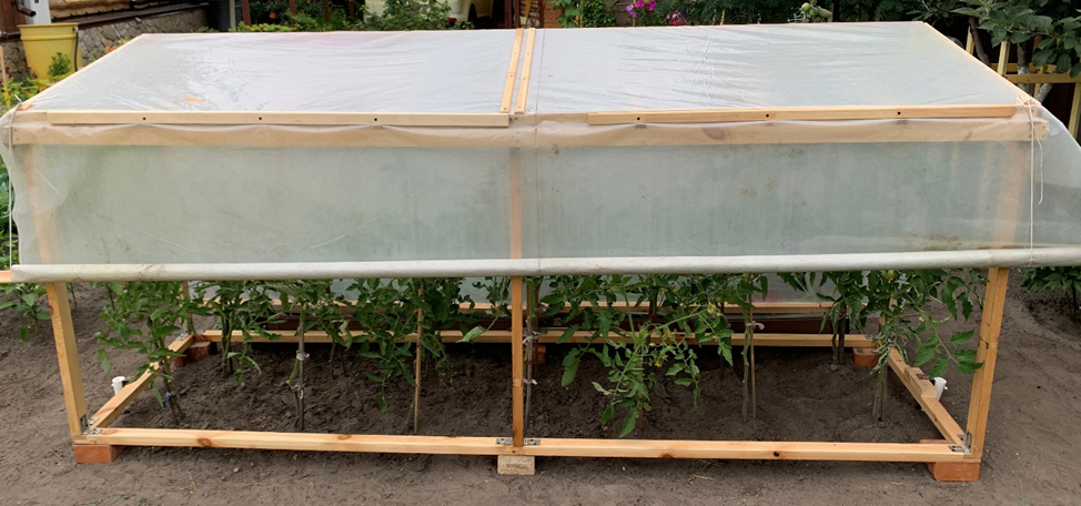 Навес для томатов своими руками