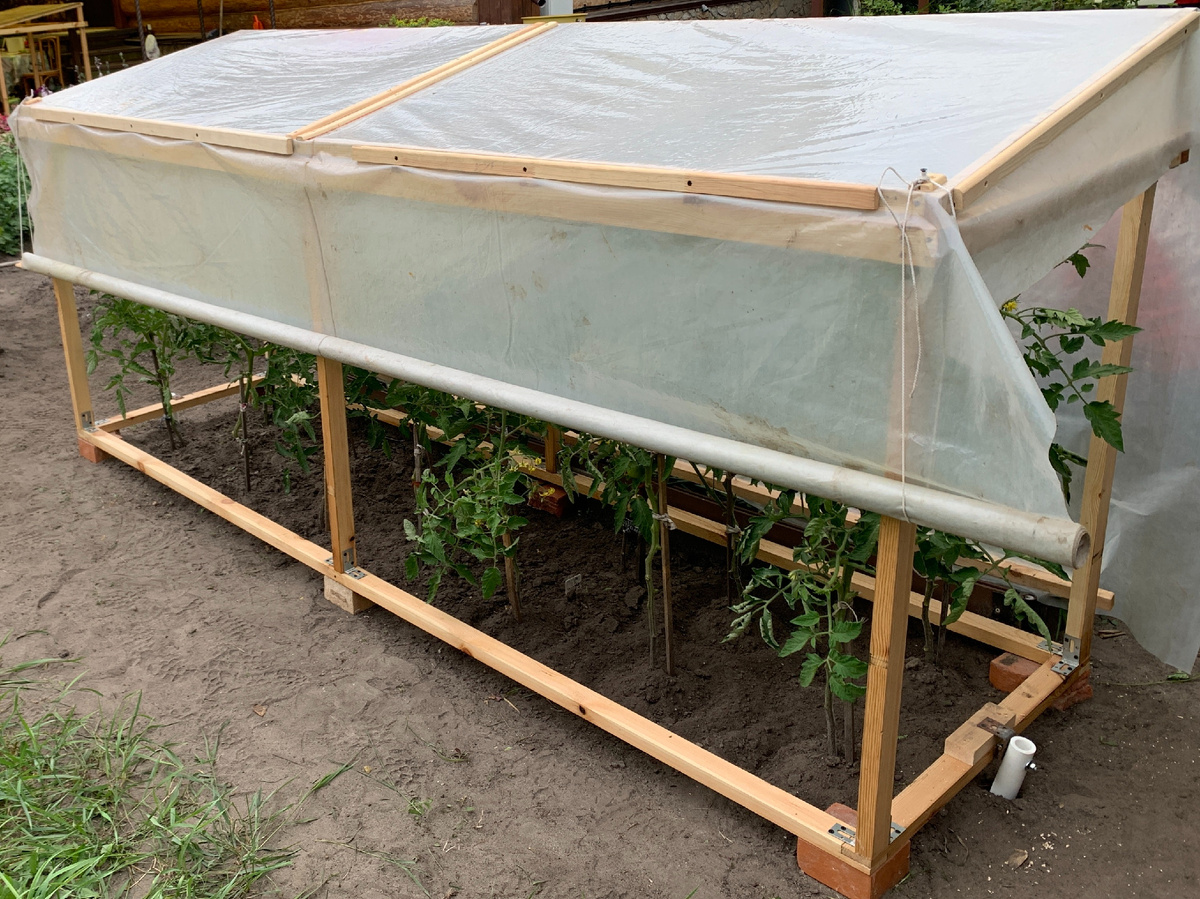 Навес для томатов своими руками