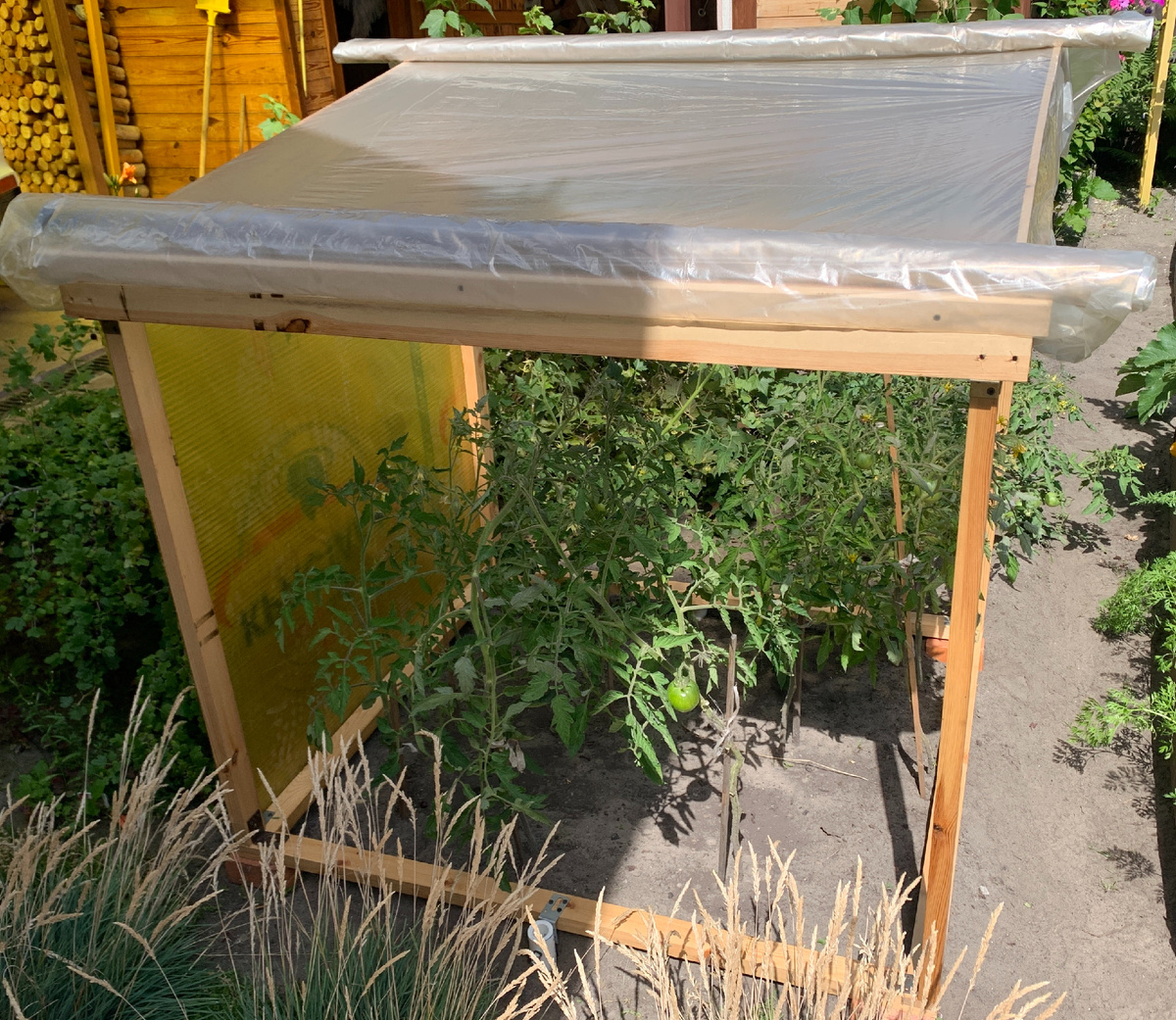 Навес для томатов своими руками