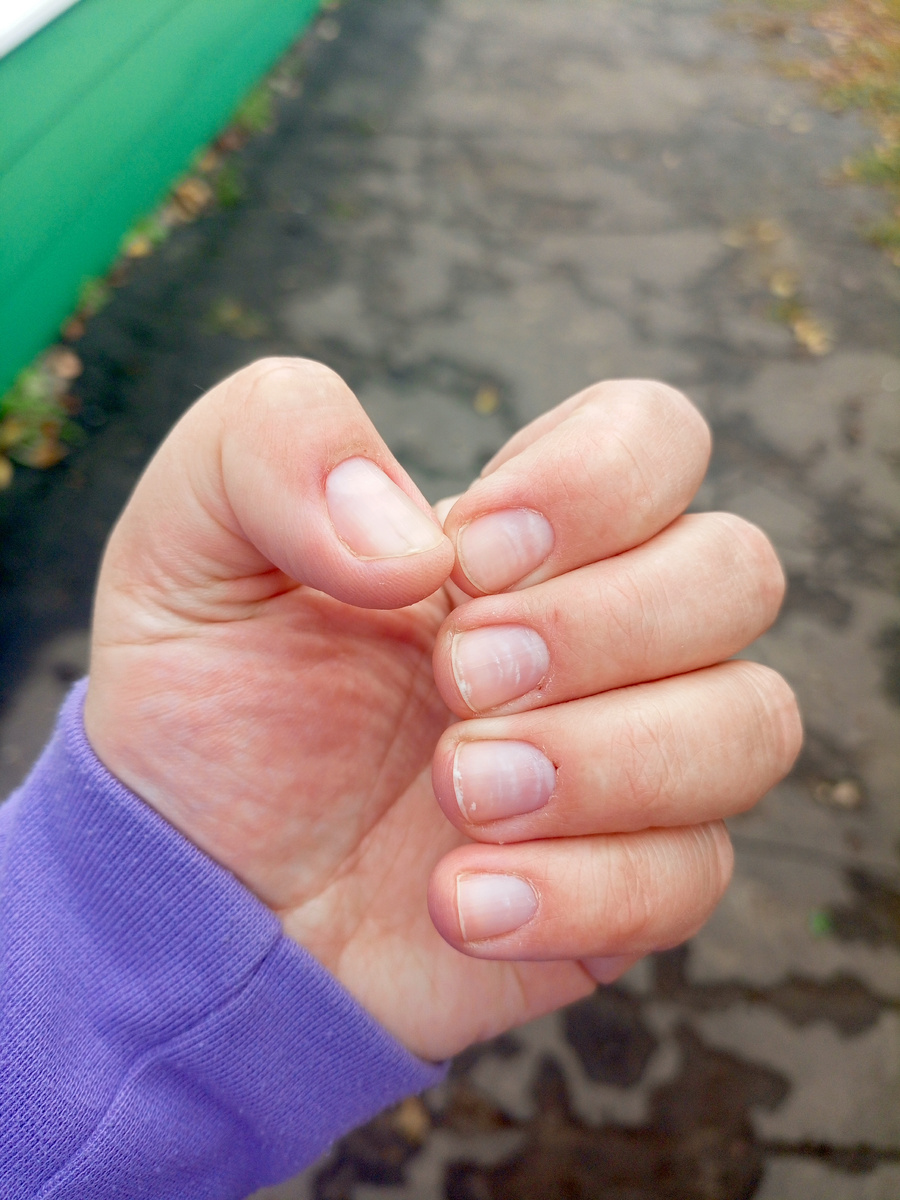 Это мои коротышки😁