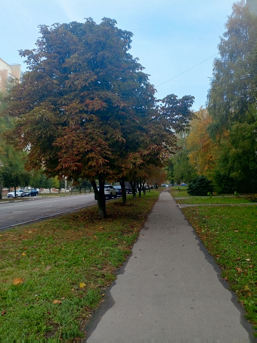 Фото сделано автором канала