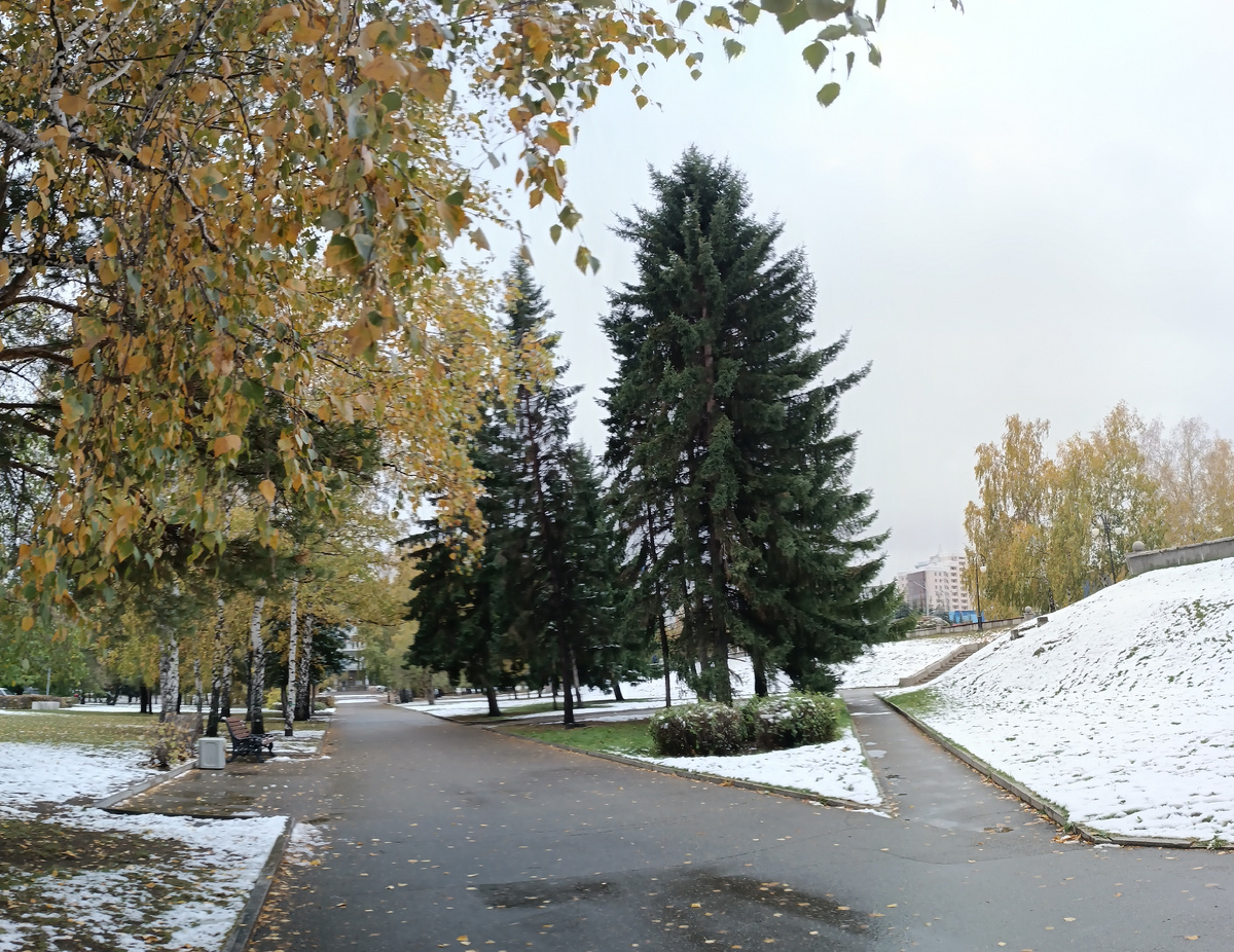 Где-то на просторах моего города. Фотография автора, октябрь 2025 года. 