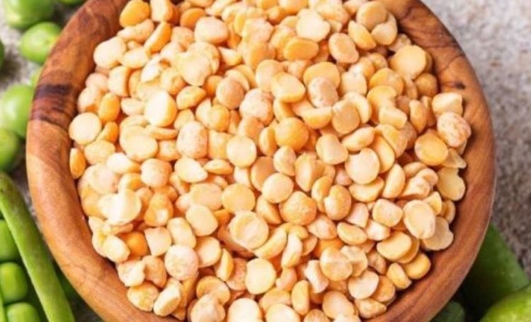    Фото: Филиал Россельхозцентра по Иркутской области