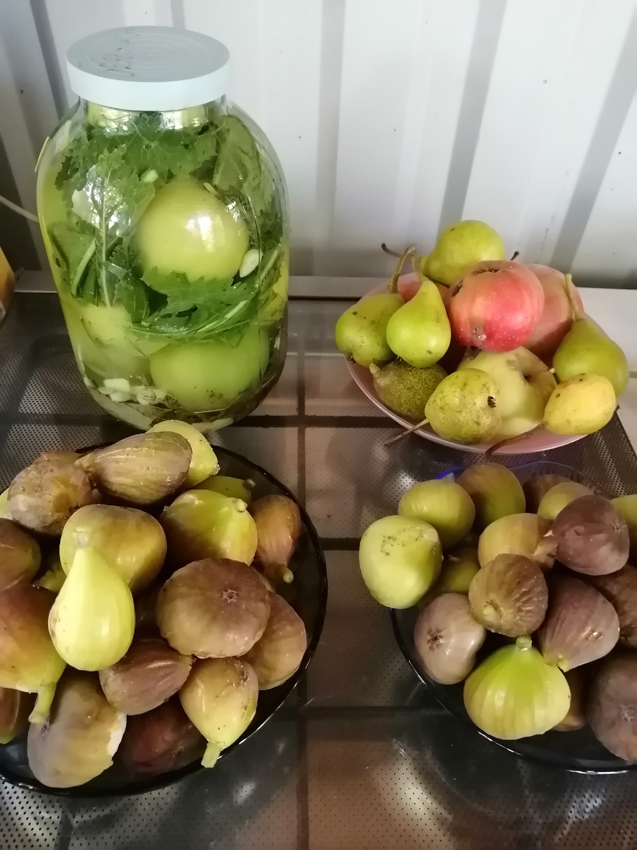 Осенние дары.