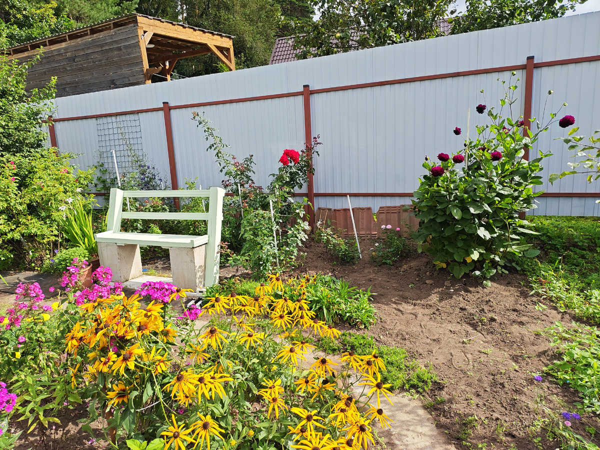 Справа видна травушка-муравушка, которая не давалась мне всё лето. Выбирать корешки на полуденном солнце не получалось. 