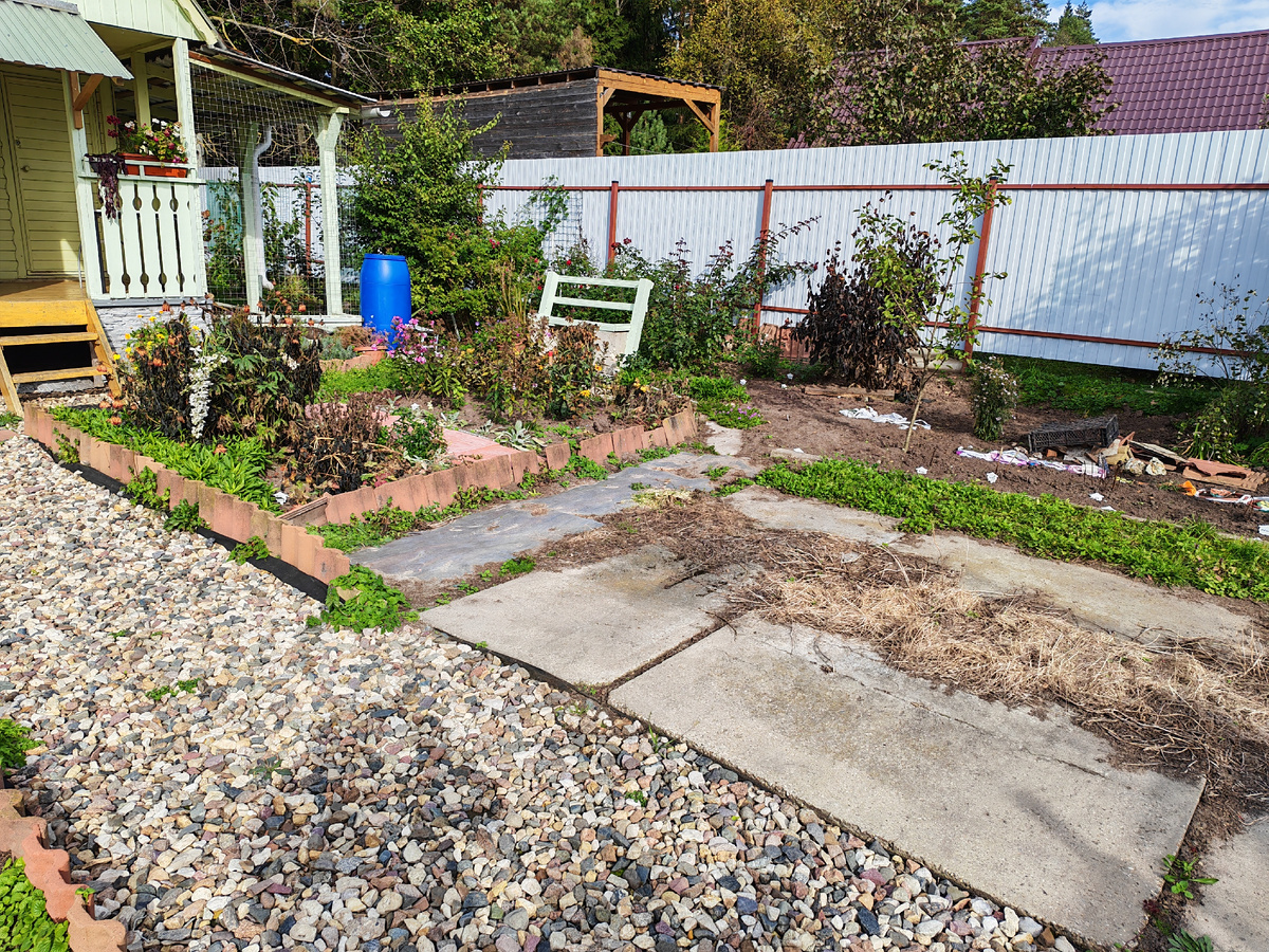 Октябрь. На фото все побитое морозом. У забора справа поле для будущих экспериментов. 