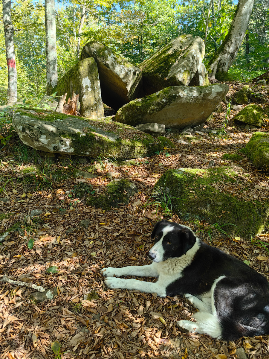 Разрушенный дольмен 