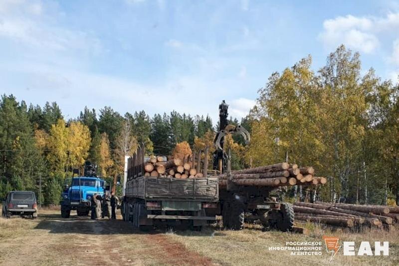    ЕАН / Расчистка площадки под строительство