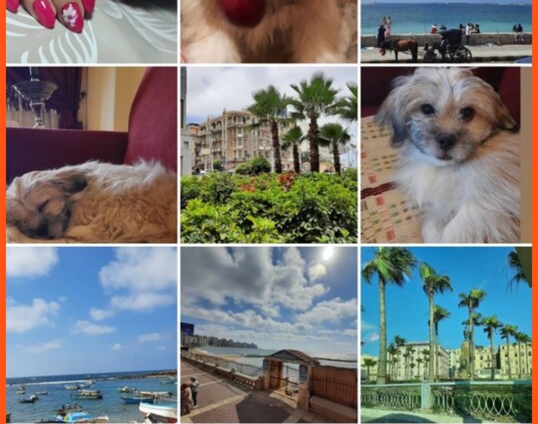 Фрагмент моей странички 