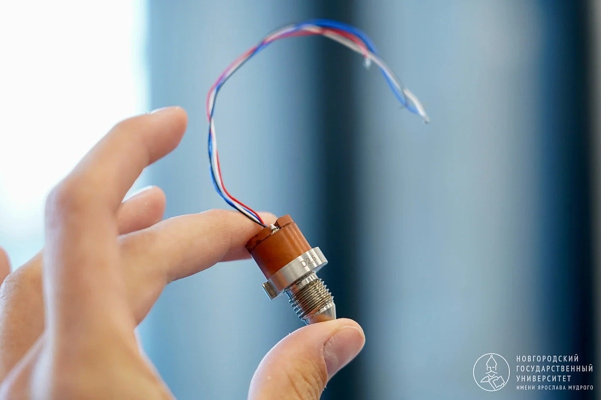    Фото: Новгородский государственный университет