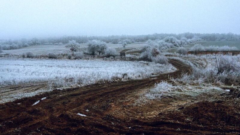     Разбитая сельская дорога. Фото: ru.freepik.com, автор wirestock.