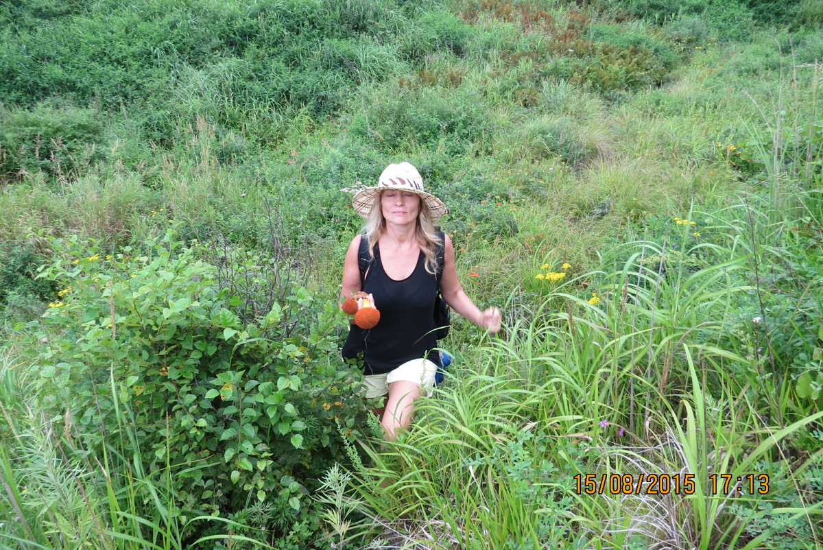 Путь к бухте