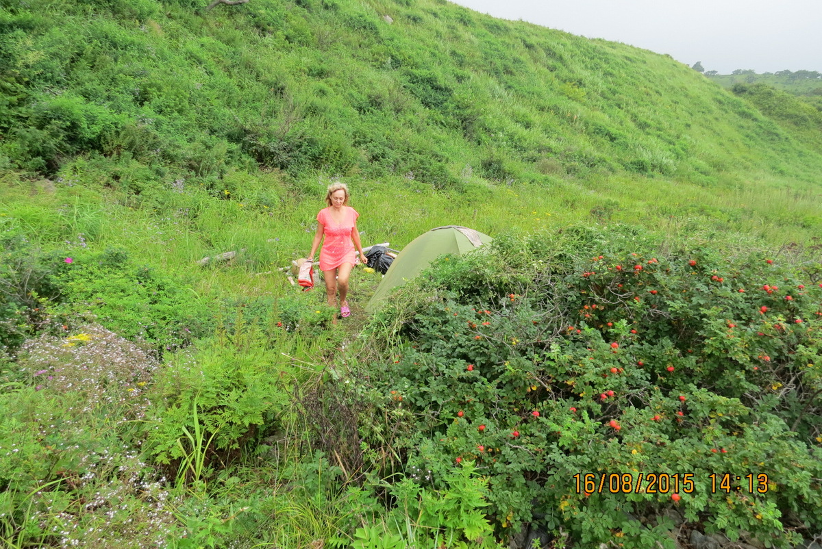 Палатка в укрытии — полностью сливается с природой