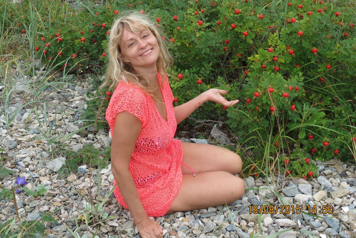 Морской шиповник