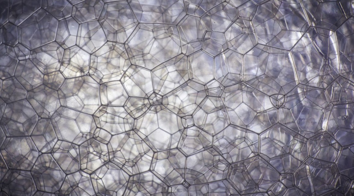    Пена под микроскопом. Источник изображения: tourister.ru