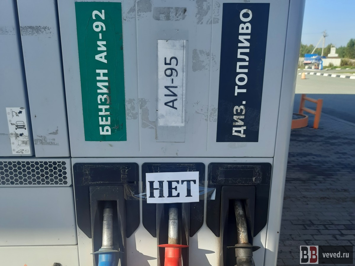     Фото: Владислав Постников / Вечерние ведомости