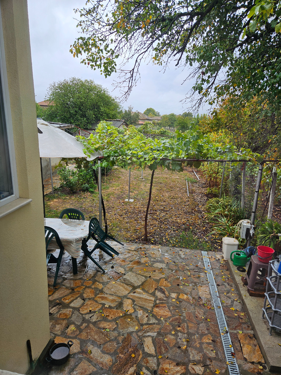 Типа газон начинает зеленеть