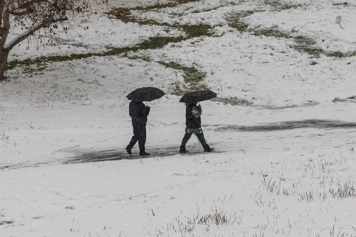    Фото Андрея Заржецкого