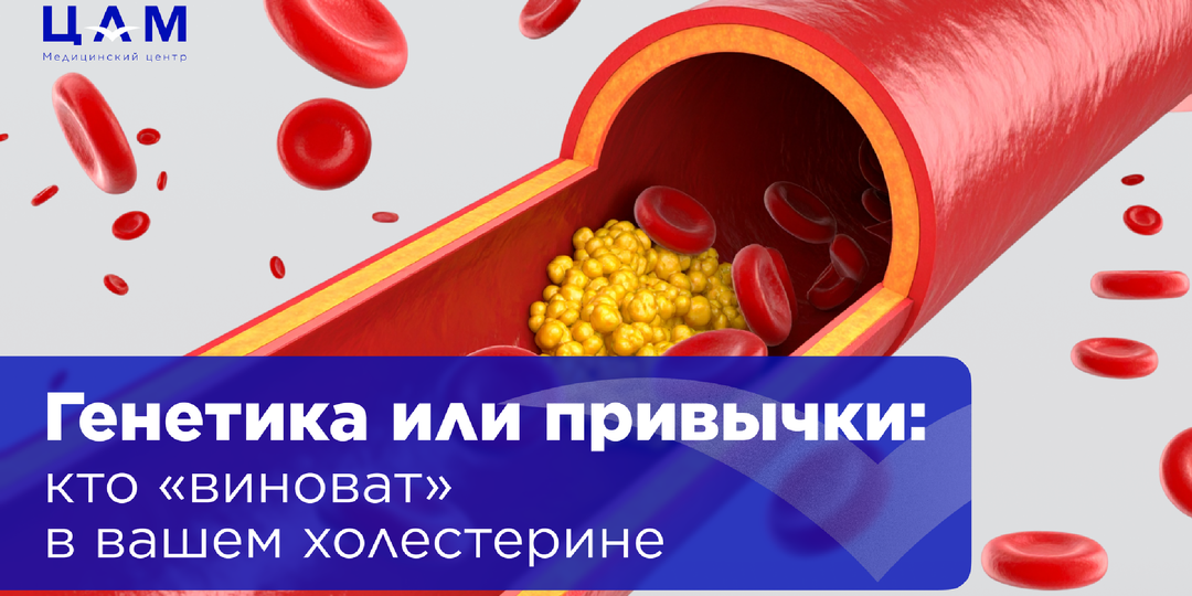 Генетика или привычка: кто «виноват» в вашем холестерине?