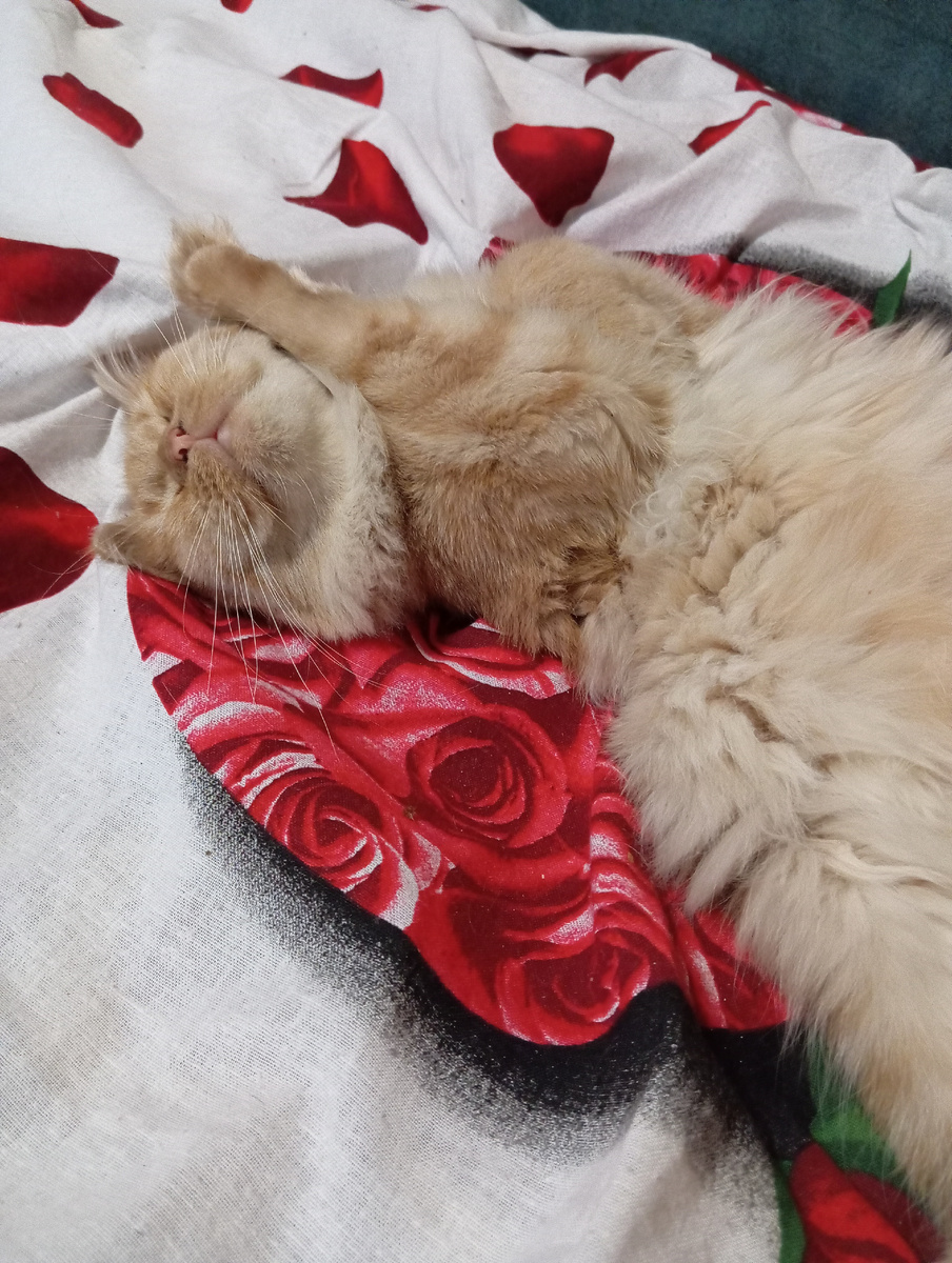 Да, да, примерно так  же выглядела я. 