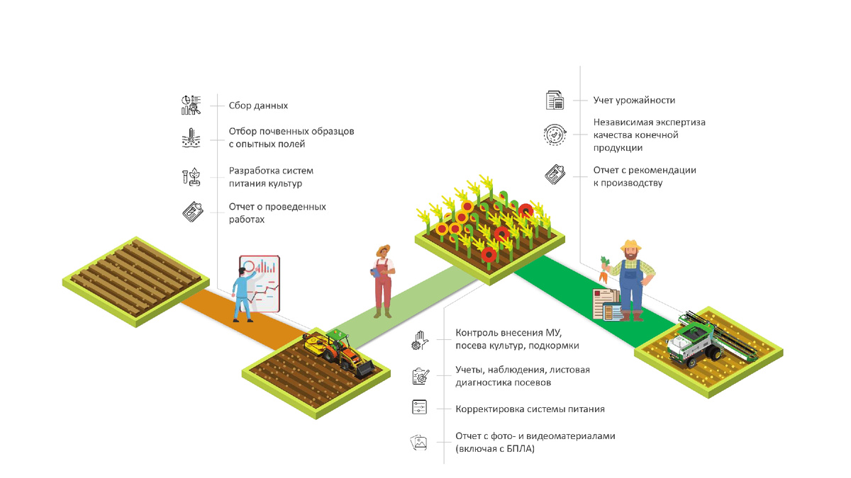 Этапы работ услуги Агросопровождение