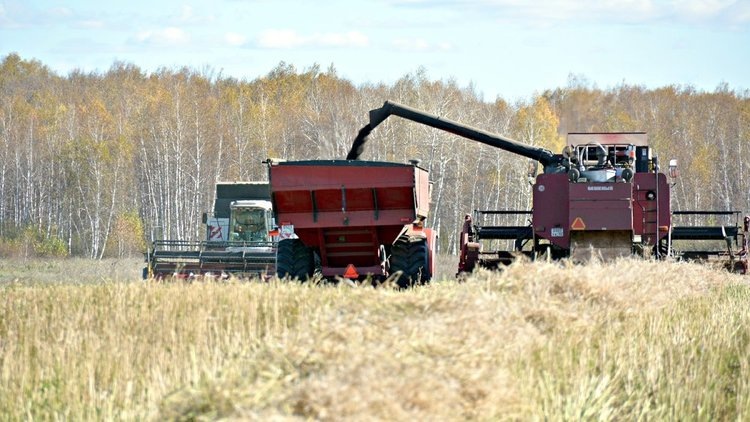    Фото: Минсельхоз Челябинской области