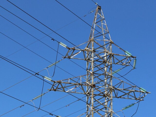    Фото: ТАСС/Максим Константинов