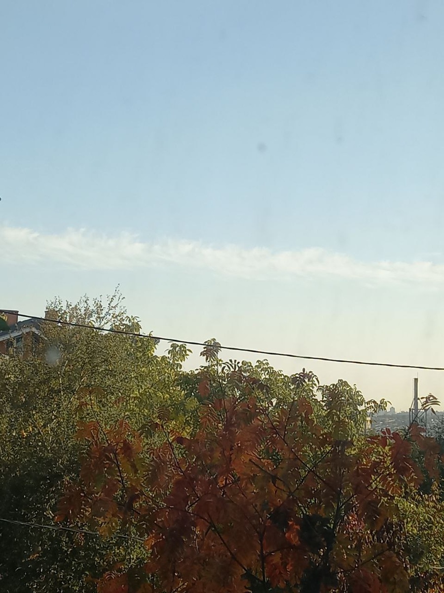 Уже совсем скоро и зима наступит...