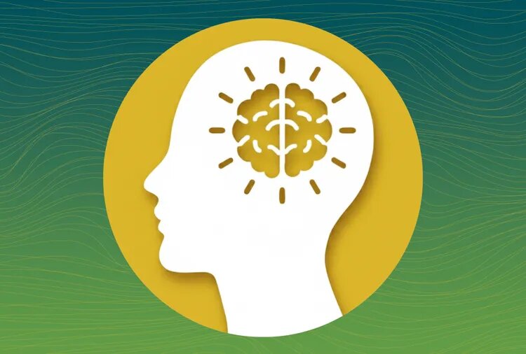    The #1 Activity to Improve Memory Retention