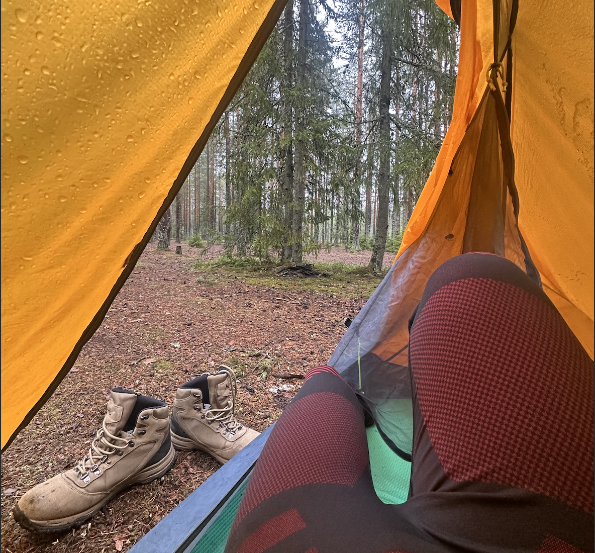 Любуюсь дождиком и утренним туманом. Вставать ещё рано, можно ещё часик поспать.