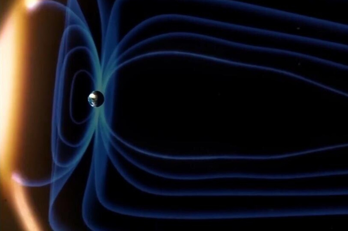    Фото: скрин видео из программы "Невероятно интересные истории", источник: ren.tv