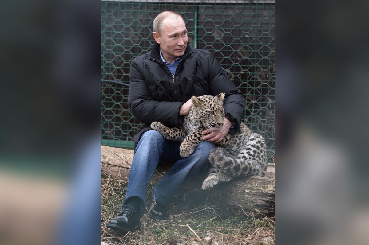     / Источник: © Алексей Никольский/РИА Новости