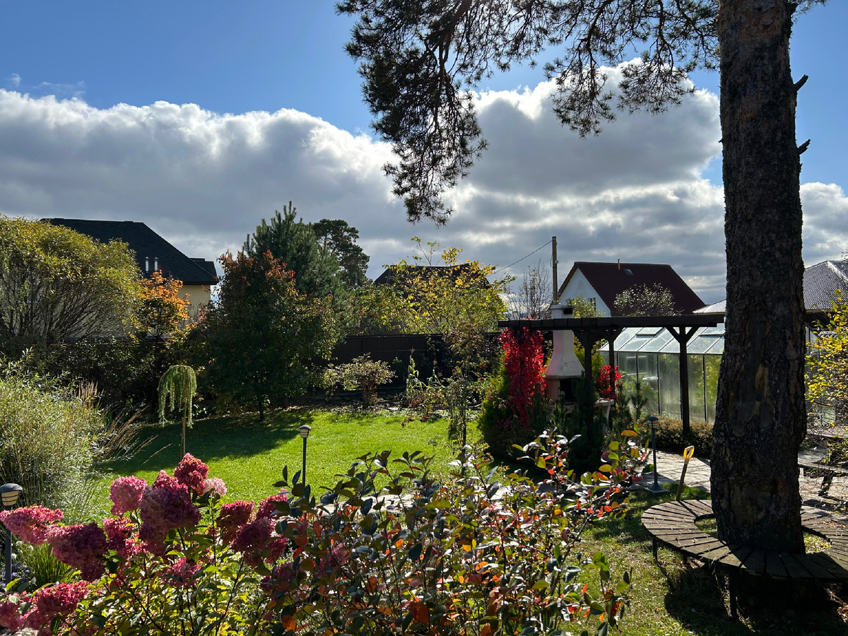 Ландшафтные идеи: лужайка, окруженная зарослями, круговая скамья, пергола...