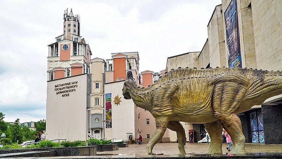 Фото взято из открытых источников