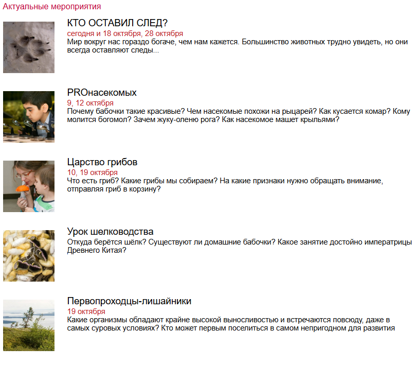 Фото взято из открытых источников