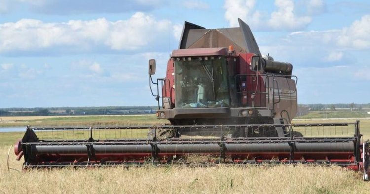    Фото: Правительство Омской области