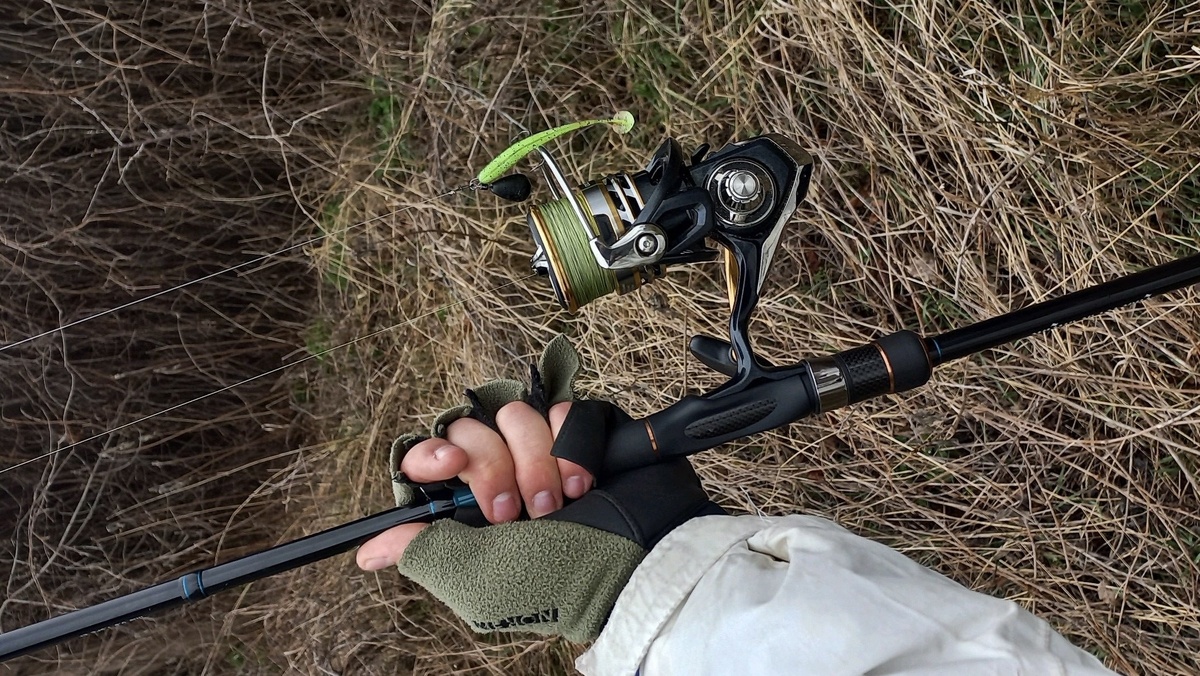 Фото автора.