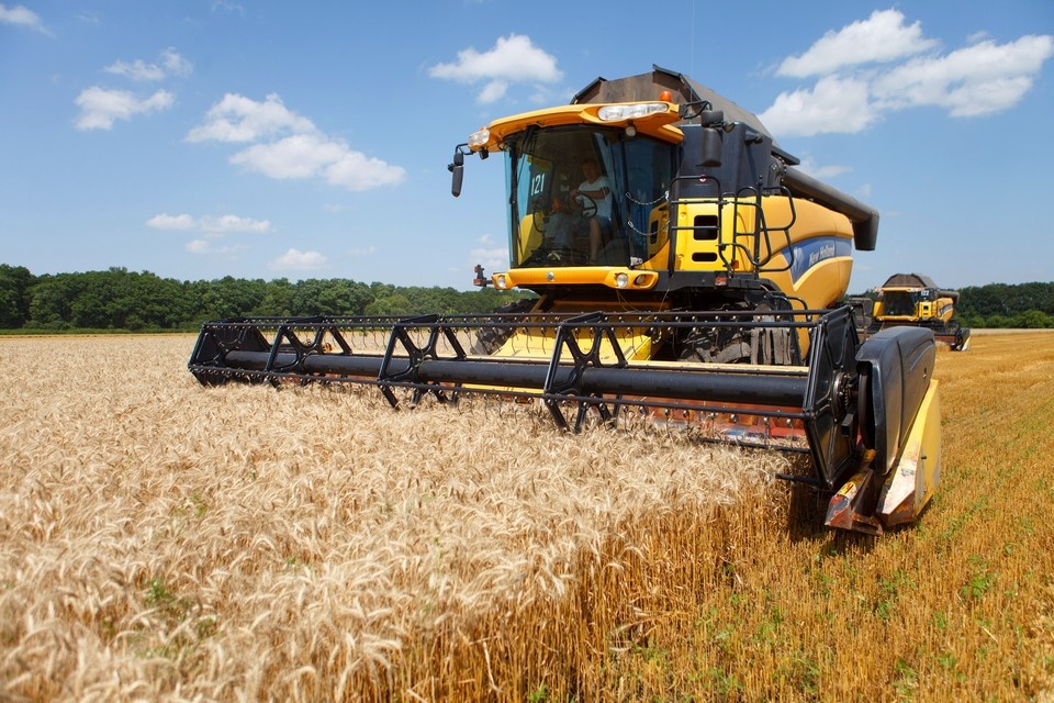    Минсельхоз прогнозирует валовый сбор в районе 135 млн тонн, почти на 10% лучше прошлогоднего. Дмитрий АХМАДУЛЛИН