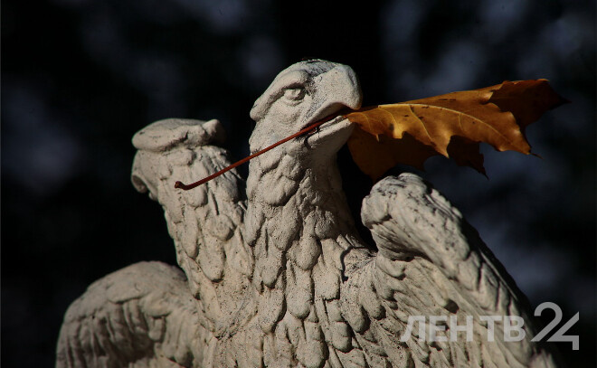    © Анастасия Илюшина / ЛенТВ24, архивное фото