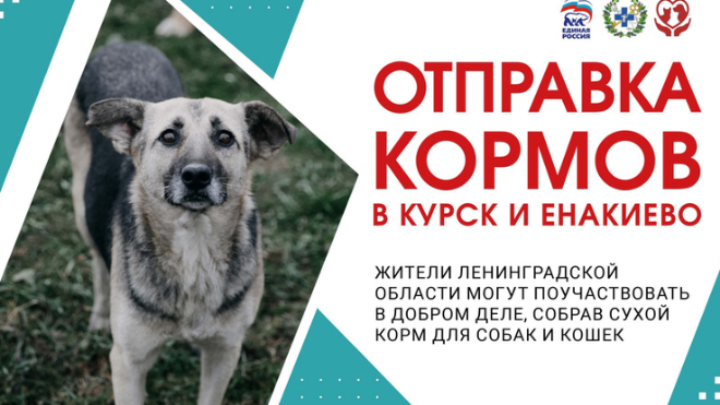 Фото: Госветслужба Ленобласти