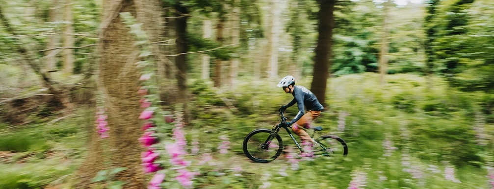 Вело туры по лесу могут быть очень увлекательны.
