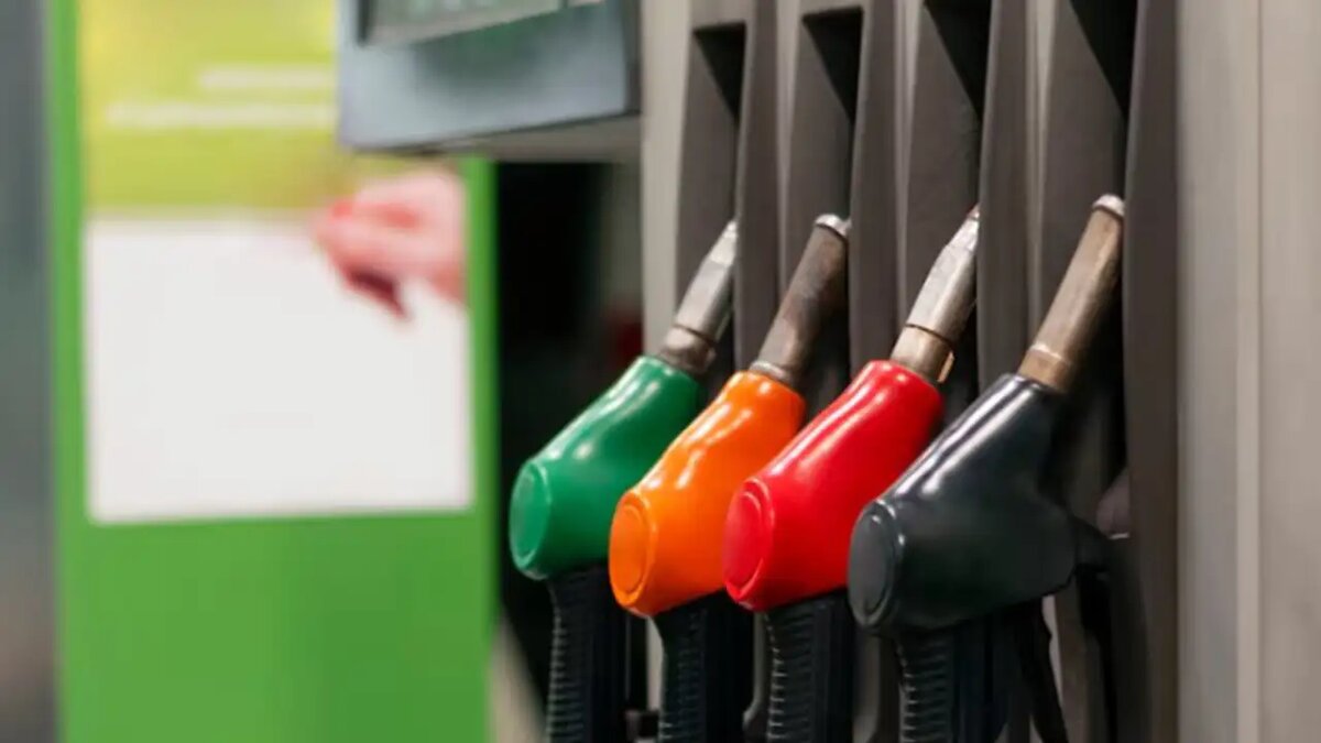    Заправка. © ru.freepik.com