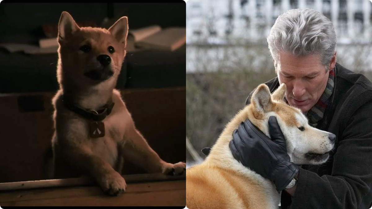 Кадры из фильма