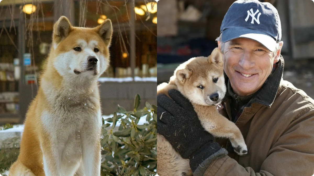 Фото из фильма