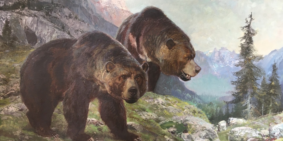 Немного нового про пещерного медведя (Ursus spelaeus)